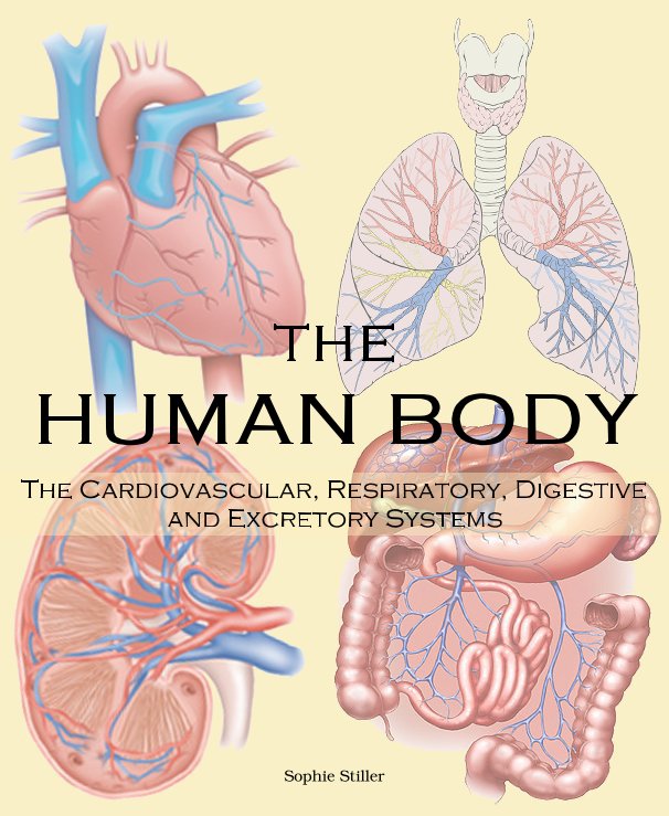 View THE HUMAN BODY by Sophie Stiller
