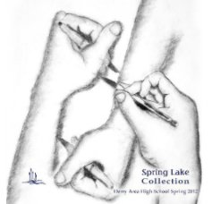 The Spring Lake Collection 2012 book cover