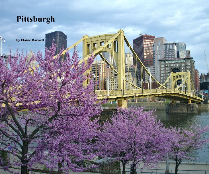 View Pittsburgh by Elaine Barnett