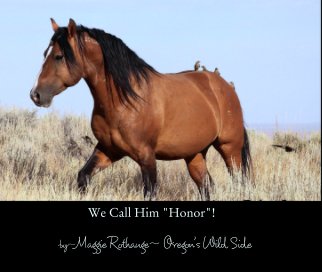 We Call Him "Honor"! book cover