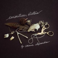 Curiosities, Etcetera book cover