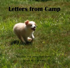Letters from Camp book cover
