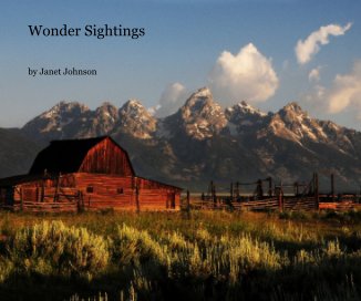 Wonder Sightings book cover