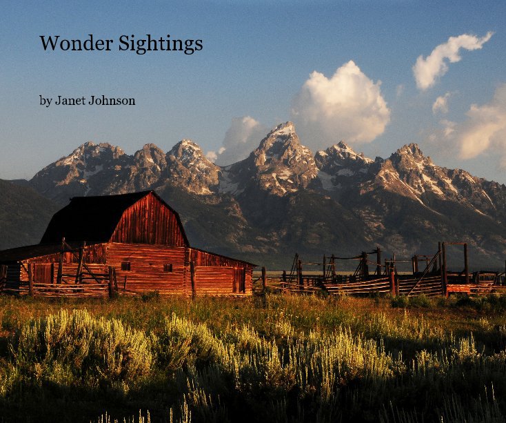 View Wonder Sightings by Janet Johnson