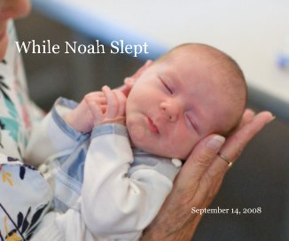 While Noah Slept September 14, 2008 book cover