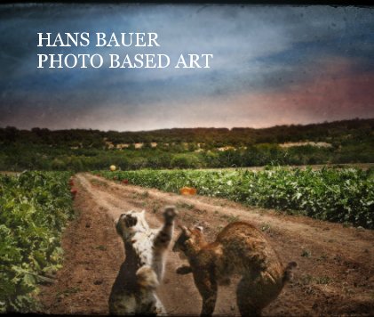 HANS BAUER PHOTO BASED ART book cover