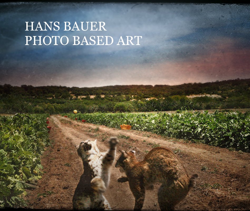 View HANS BAUER PHOTO BASED ART by shadygrove