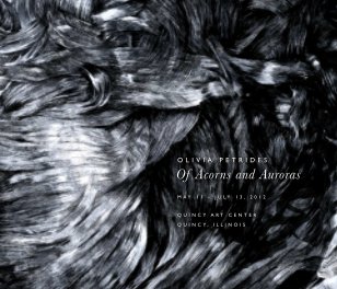 Of Acorns and Auroras book cover