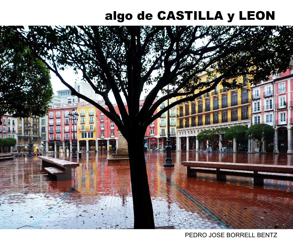 View algo de CASTILLA y LEON by PEDRO JOSE BORRELL BENTZ