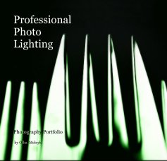 Professional Photo Lighting book cover