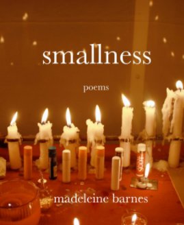 smallness book cover