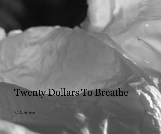Twenty Dollars To Breathe book cover