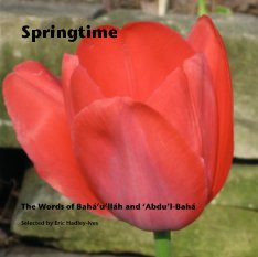 Springtime book cover