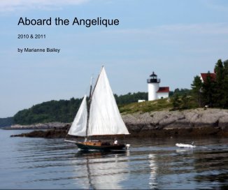 Aboard the Angelique book cover