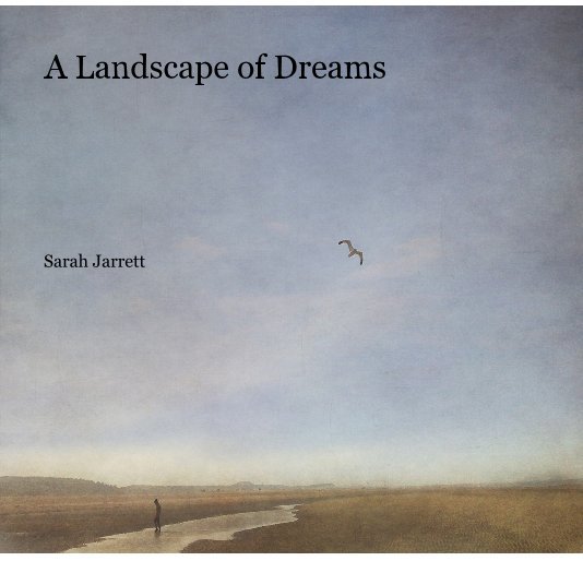 Visualizza A Landscape of Dreams di Sarah Jarrett