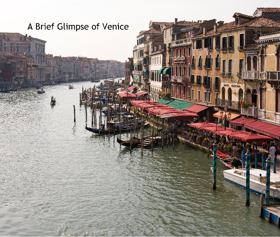Visualizza A Brief Glimpse of Venice di Moz