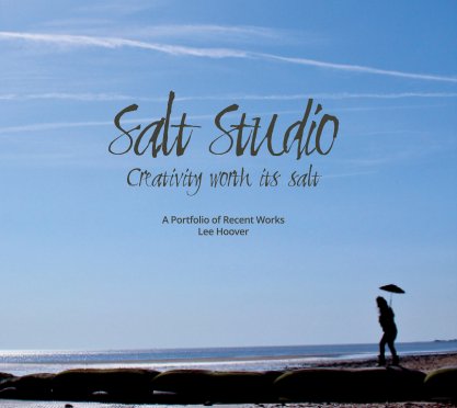 Salt Studio book cover