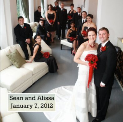 Sean and Alissa book cover
