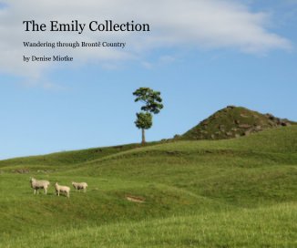 The Emily Collection book cover