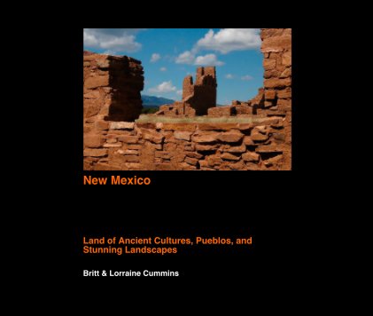New Mexico book cover