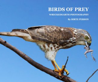 BIRDS OF PREY book cover