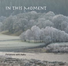 In This Moment book cover
