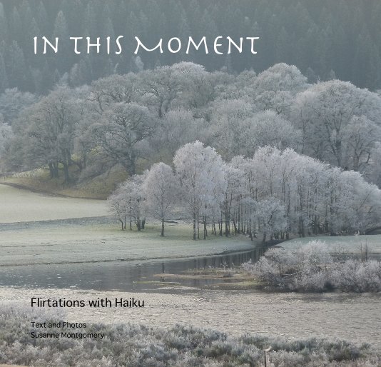View In This Moment by Text and Photos Susanne Montgomery