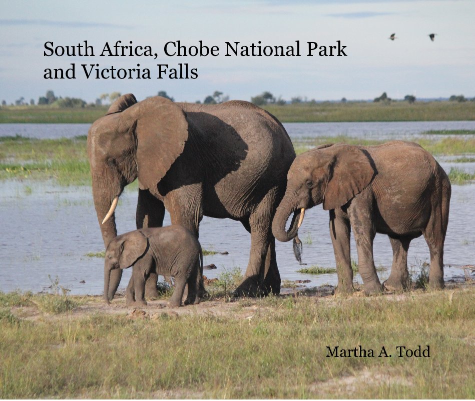 South Africa, Chobe National Park and Victoria Falls Martha A. Todd nach Martha A. Todd anzeigen