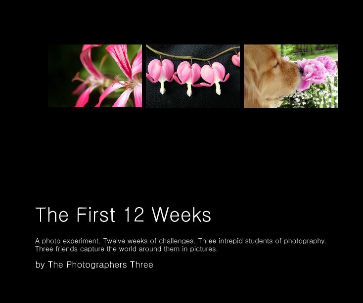 View The First 12 Weeks by The Photographers Three