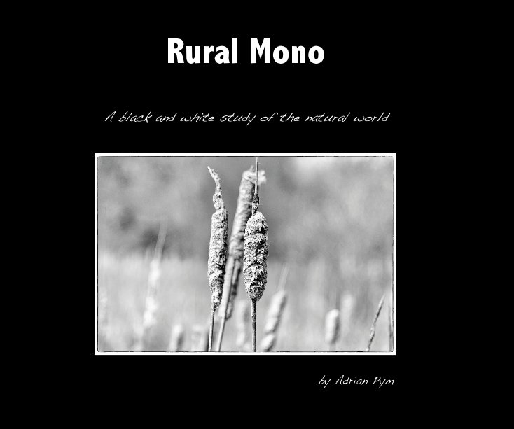View Rural Mono by Adrian Pym