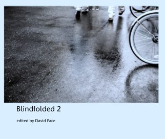 Blindfolded 2 book cover