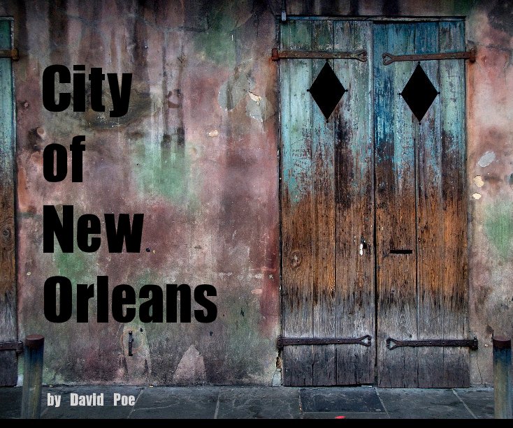 View City of New Orleans by David Poe