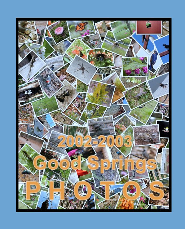 View 2002-2003 Good Springs PHOTOS by Harold G. Burrows