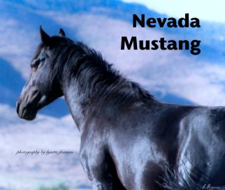 Nevada 
Mustang book cover