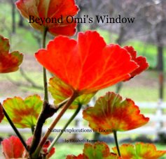 Beyond Omi's Window book cover