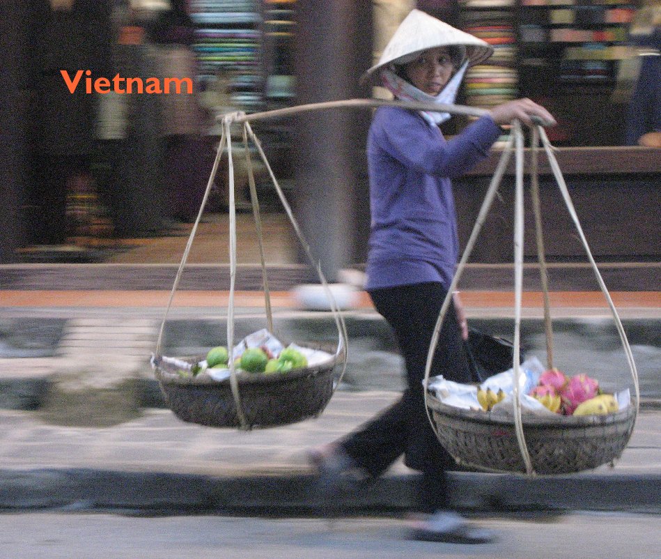 View Vietnam by Marilyn Wells
