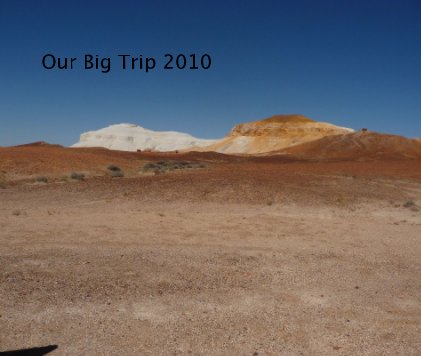 Our Big Trip 2010 book cover