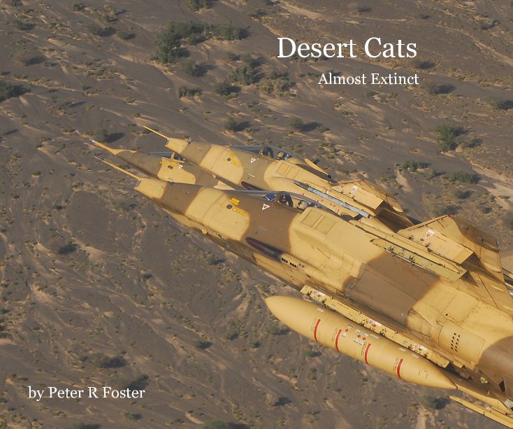 Visualizza Desert Cats di Peter R Foster