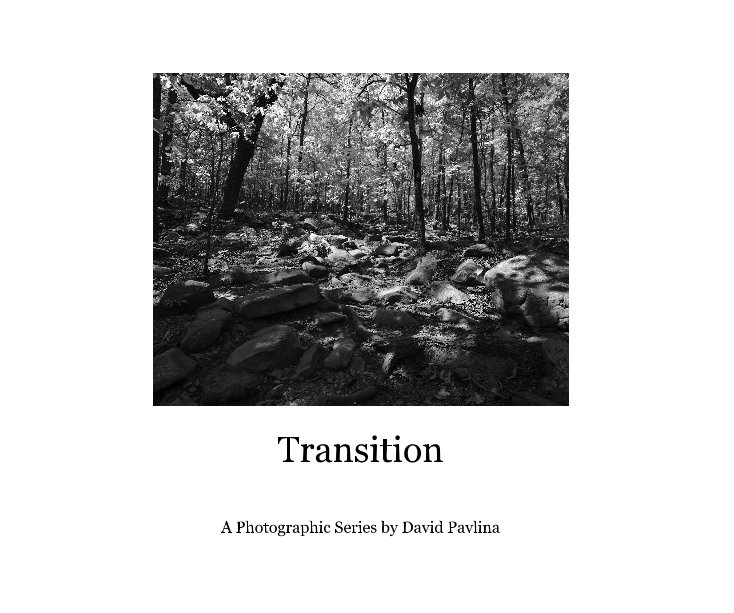 Ver Transition por A Photographic Series by David Pavlina