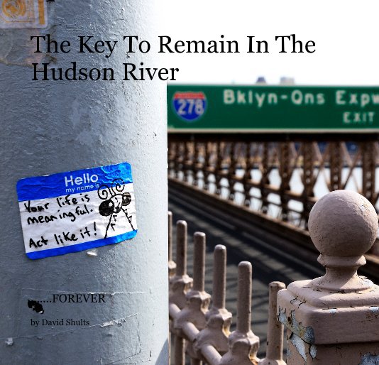 View The Key To Remain In The Hudson River by David Shults