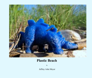 Plastic Beach

by book cover