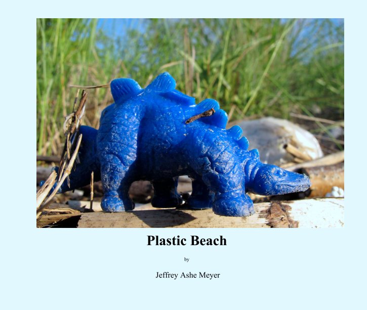 Plastic Beach

by nach Jeffrey Ashe Meyer anzeigen