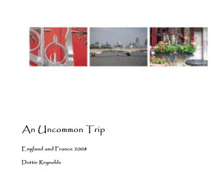 An Uncommon Trip book cover