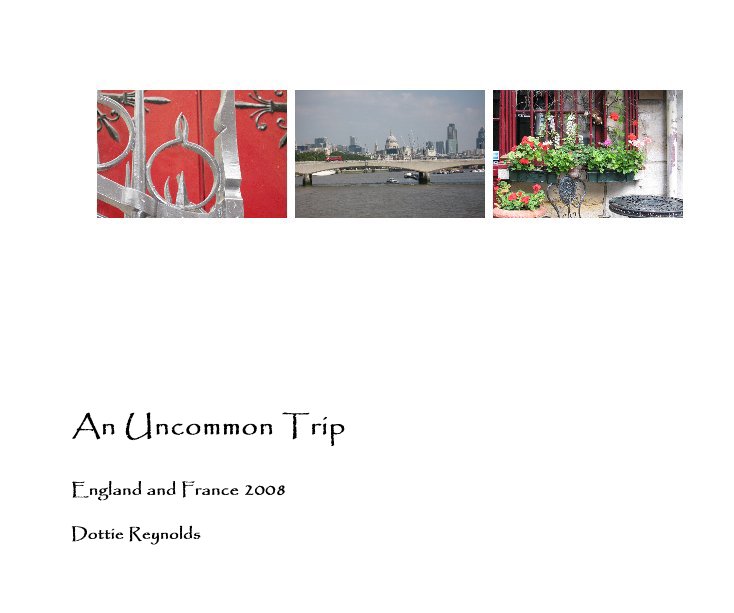 View An Uncommon Trip by Dottie Reynolds