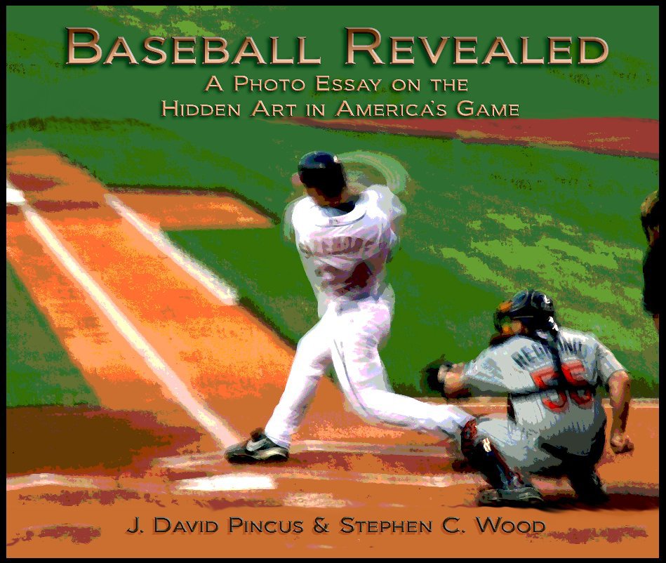 View Baseball Revealed by J. David Pincus & Stephen C. Wood