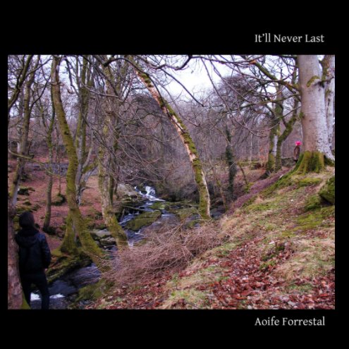 View It'll Never Last by Aoife Forrestal