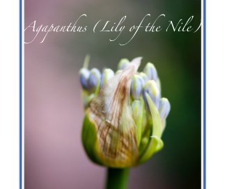 Agapanthus (Lily of the Nile) book cover