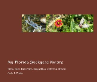 My Florida Backyard Nature book cover