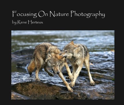 Focusing On Nature Photography book cover