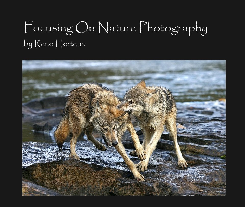 Ver Focusing On Nature Photography por rherteux